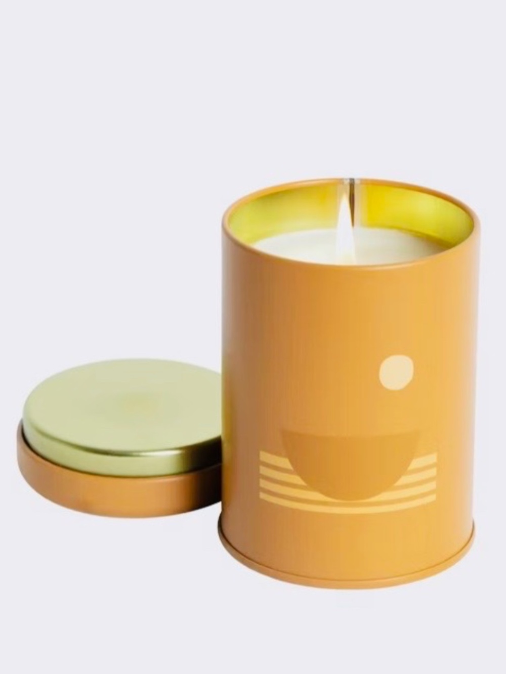 P. F. CANDLE CO SWELL BLACK CURRANT TUBEROSE SEA MOSS